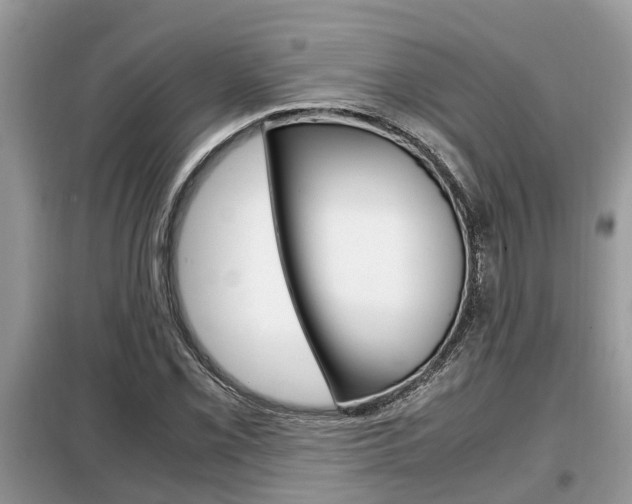 X0000099291069200805020728