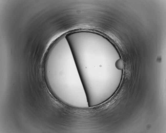 X0000099291070200805020728