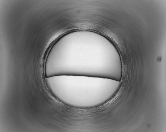 X0000099291071200805020728