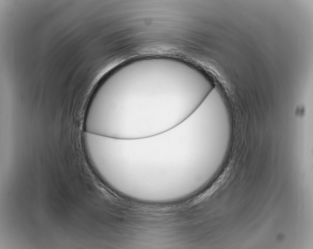 X0000099291073200805020728
