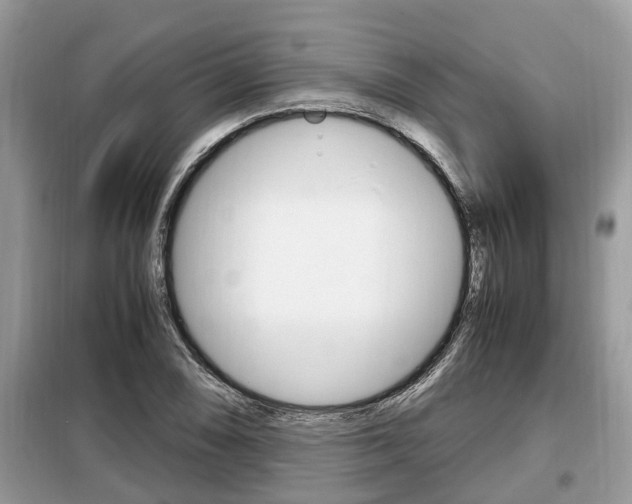 X0000099291074200805020728