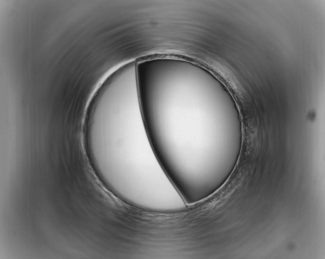 X0000099291076200805020727
