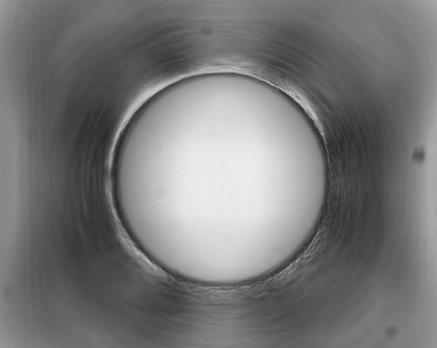 X0000099291080200805020727