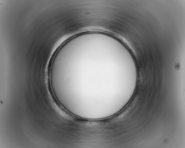 X0000099291082200805020727