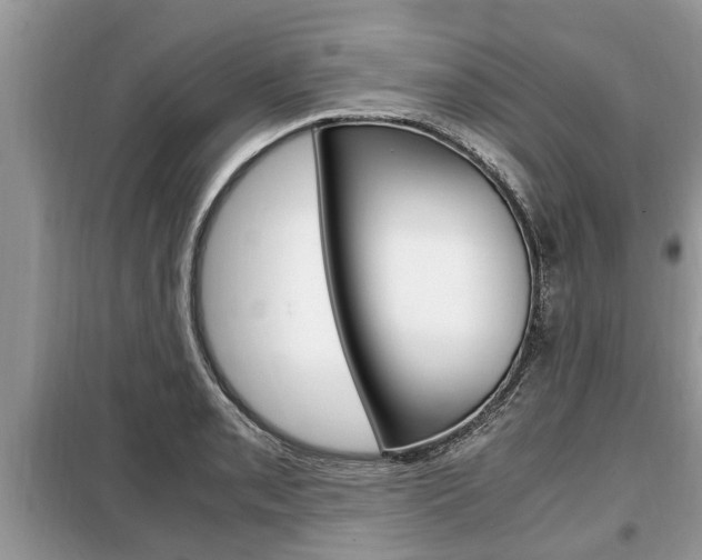 X0000099291085200805020727