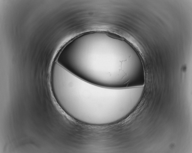 X0000099291088200805020727