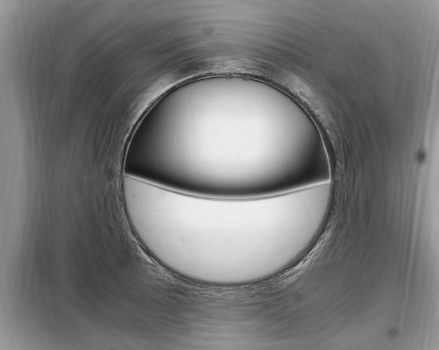 X0000099291089200805020727