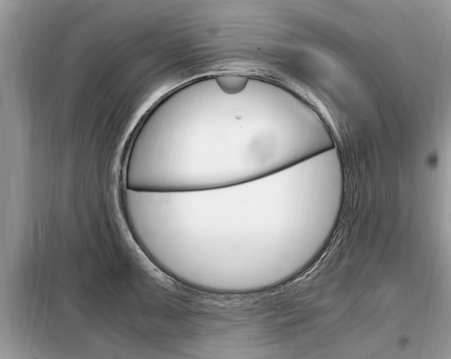 X0000099291091200805020727