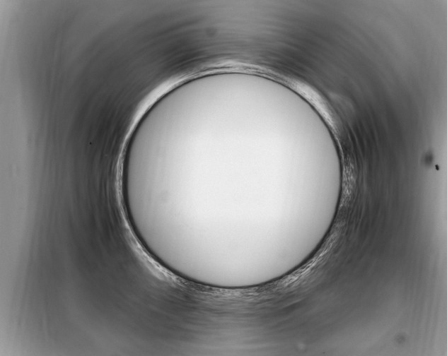 X0000099291098200805020727