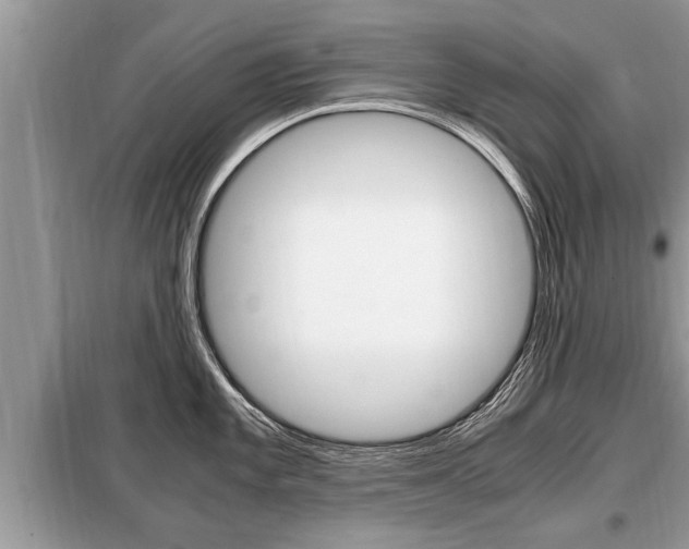 X0000099291101200805020727