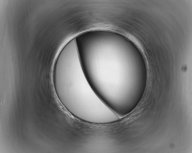 X0000099291104200805020727