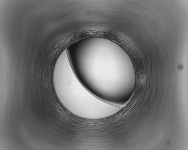 X0000099291108200805020726