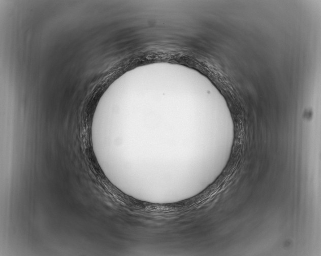 X0000099291109200805020726
