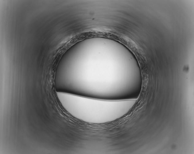X0000099291110200805020727