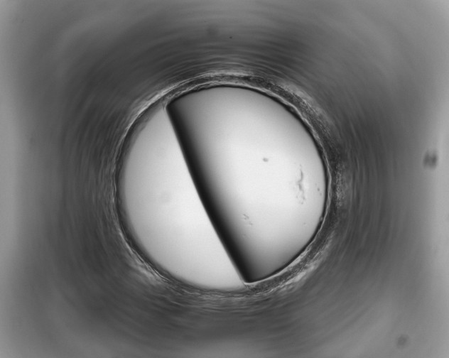 X0000099291113200805020727