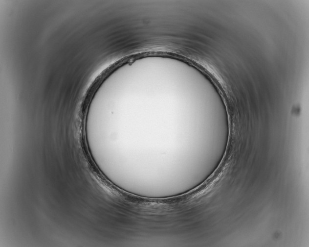 X0000099291119200805020727