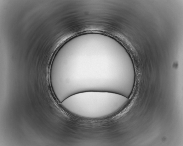 X0000099291121200805020727