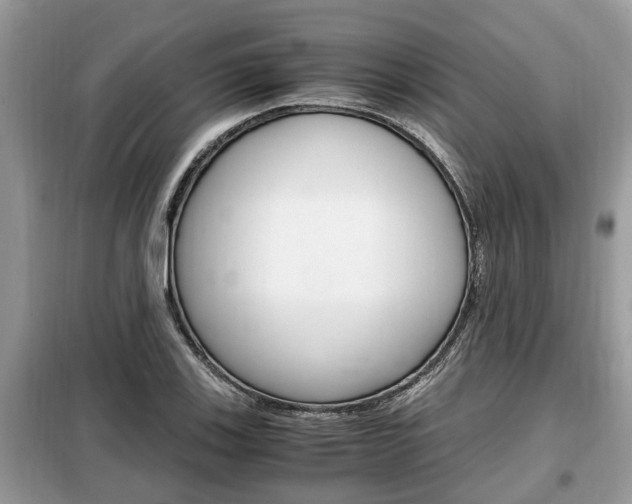 X0000099291123200805020727