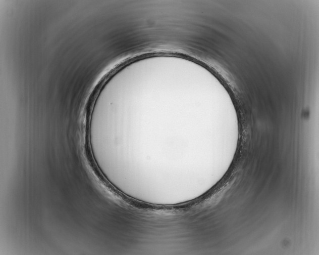 X0000099291126200805020727