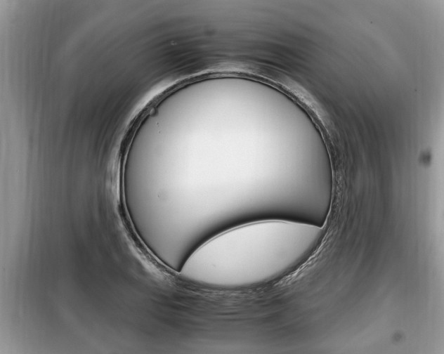 X0000099291127200805020727