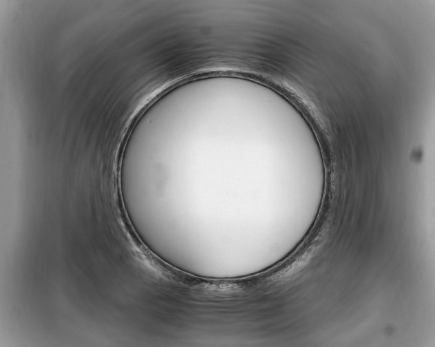 X0000099291129200805020727