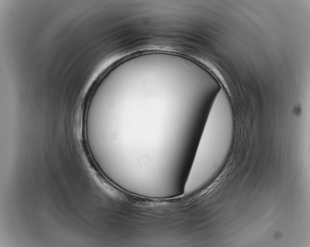 X0000099291131200805020727