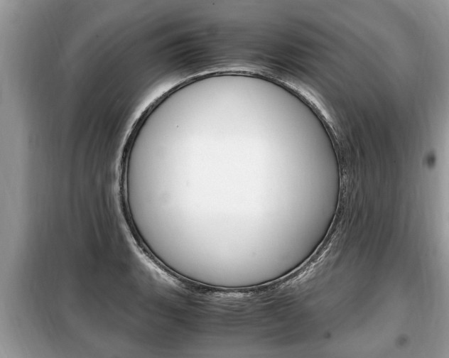 X0000099291135200805020727