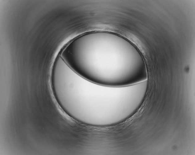 X0000099291136200805020727