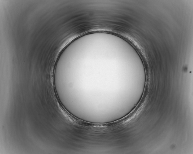 X0000099291137200805020727