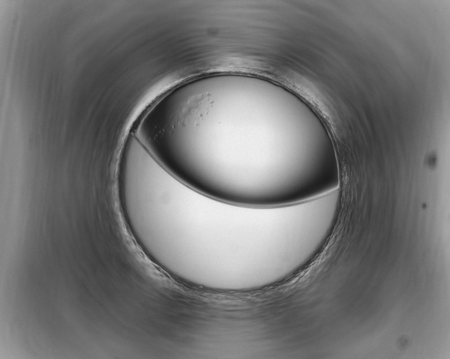 X0000099291138200805020727