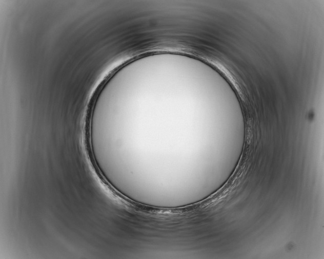 X0000099291139200805020727