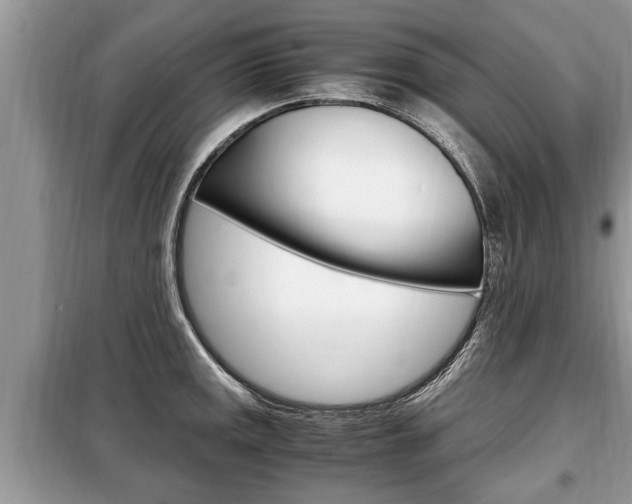 X0000099291141200805020727