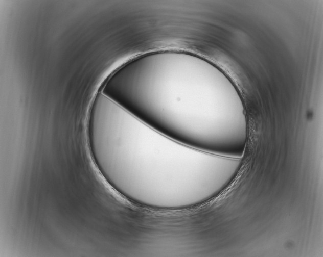 X0000099291142200805020727