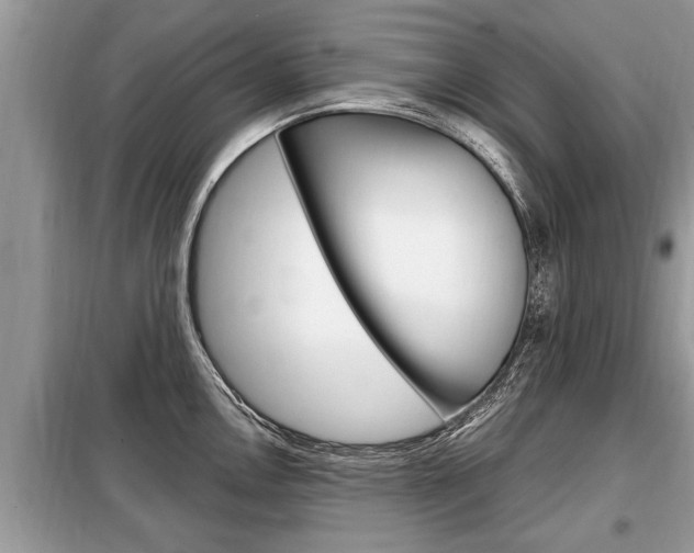 X0000099291146200805020727
