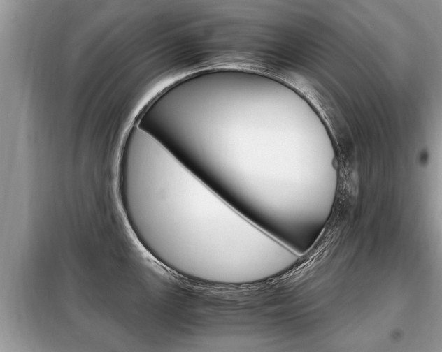 X0000099291147200805020727