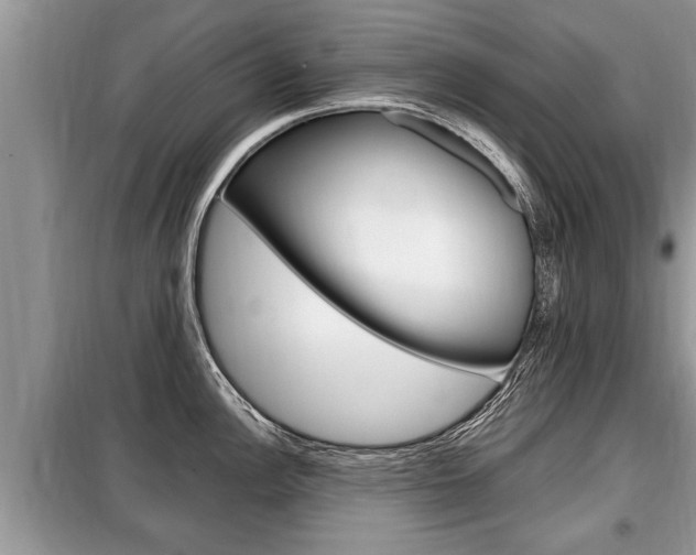 X0000099291148200805020727