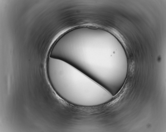 X0000099291149200805020727