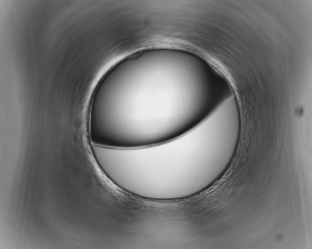 X0000099291152200805020727