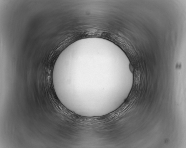 X0000099291154200805020726