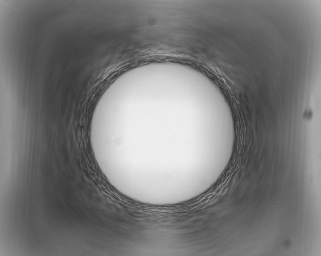 X0000099291157200805020726