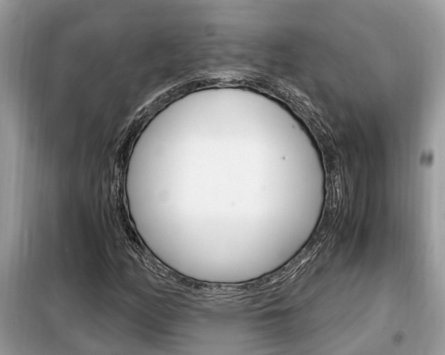 X0000099291158200805020726