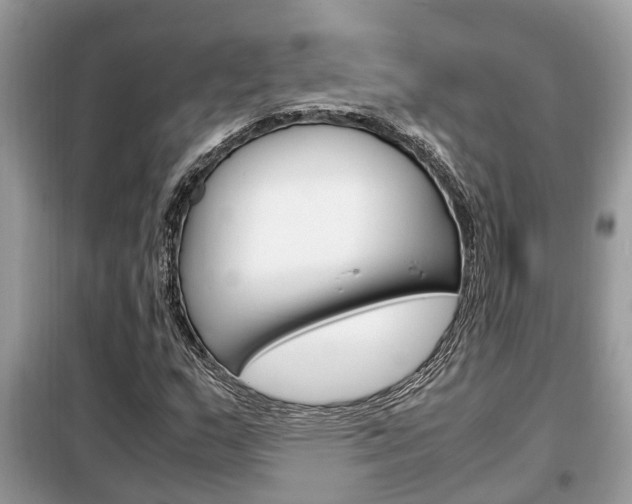X0000099291159200805020726