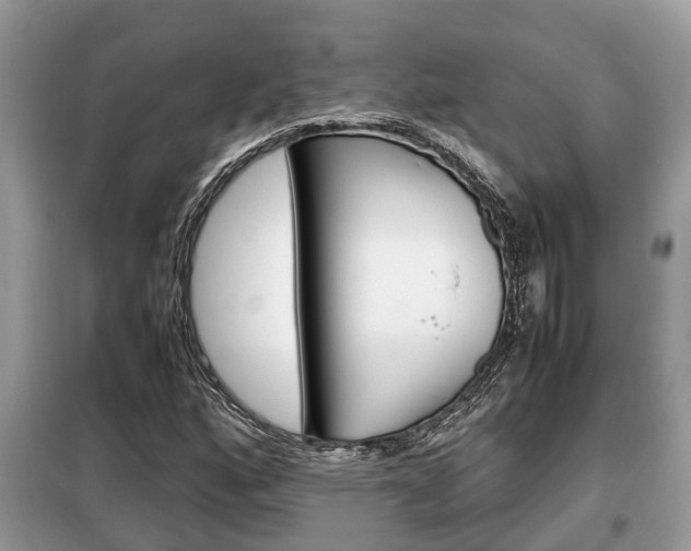 X0000099291160200805020726