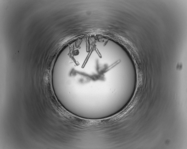 X0000099291161200805020726