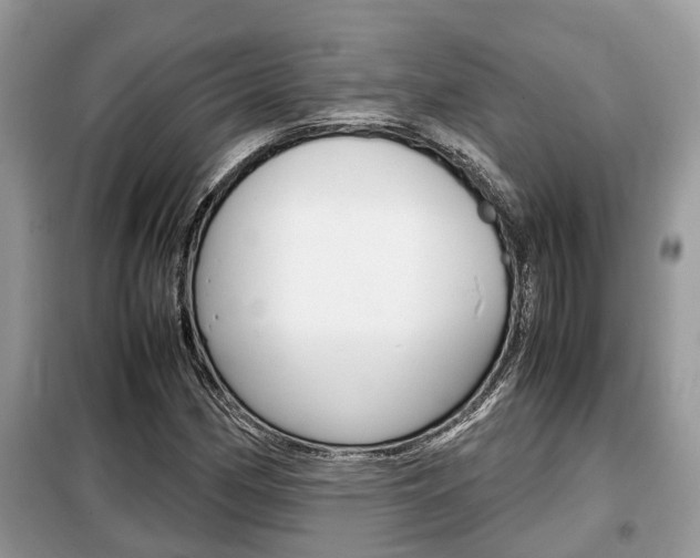 X0000099291162200805020726