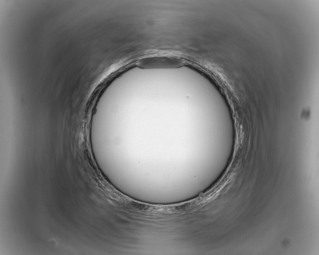 X0000099291165200805020726