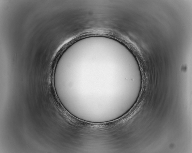 X0000099291166200805020726
