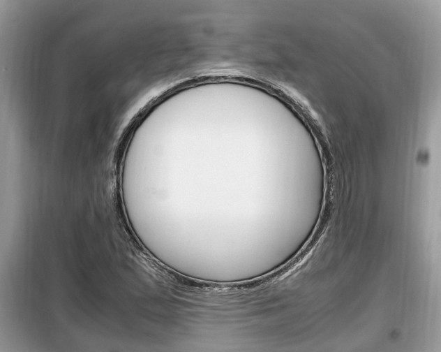 X0000099291167200805020726