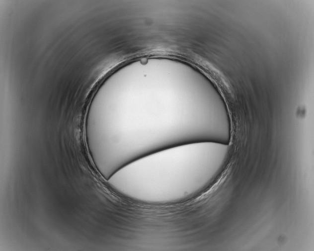 X0000099291170200805020726