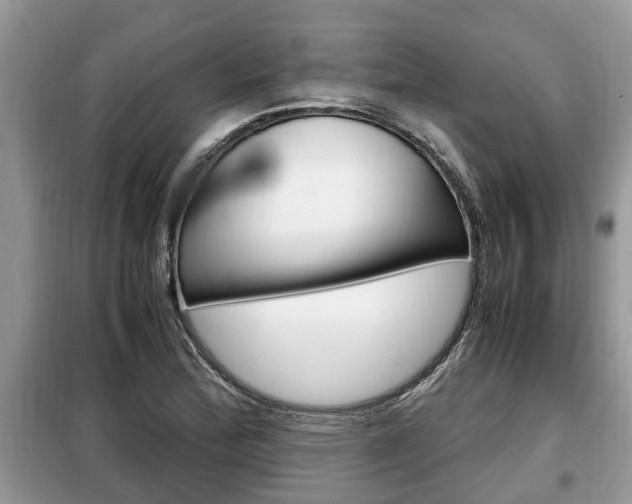 X0000099291172200805020726